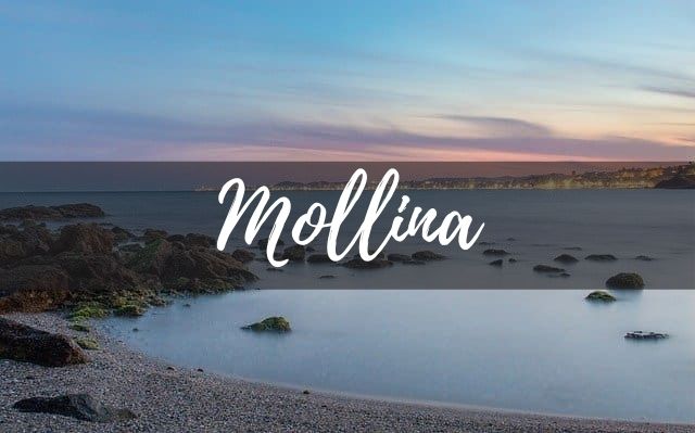 Empresas e instaladores de placas solares en Mollina
